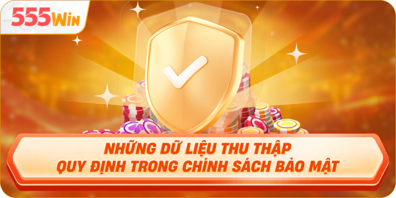 Những dữ liệu thu thập quy định trong chính sách bảo mật